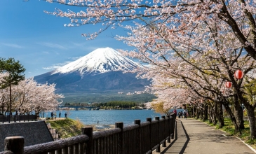 Yasu Tur Özel:  JAPONYA TURU  | OSAKA-TOKYO | 7 Gece 8 Gün |TÜM GEZİLER DAHİL