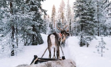 Süper Promo Lapland Turu Beyaz Rotalar (3 Gece - Olof Hotel)