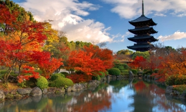 Yasu Tur Özel:  JAPONYA TURU  | OSAKA-TOKYO | 7 Gece 8 Gün |TÜM GEZİLER DAHİL