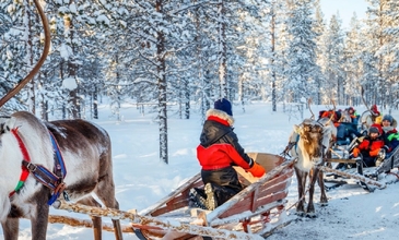 Süper Promo Lapland Turu Beyaz Rotalar (3 Gece)